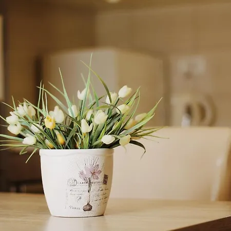 Paradisos Apartment