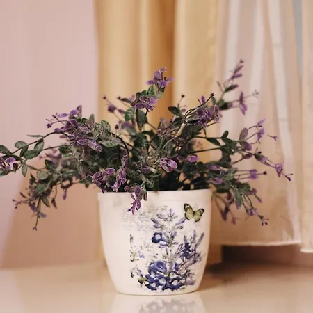 帕拉迪索斯公寓 公寓 克拉古耶瓦茨