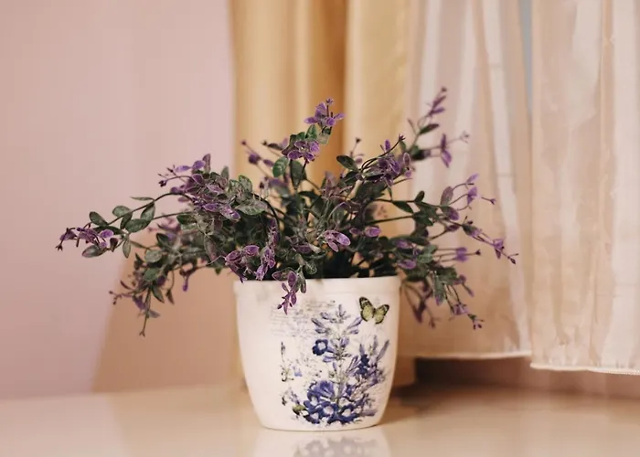 Paradisos Daire Kragujevac